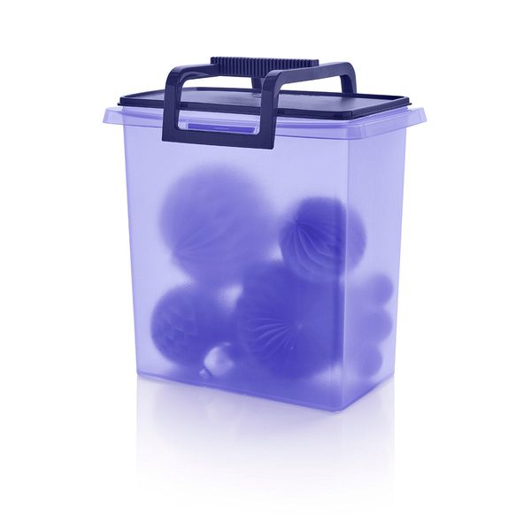 Tupperware® Large Carry-All® Container | Detachable Handle Storage Bin