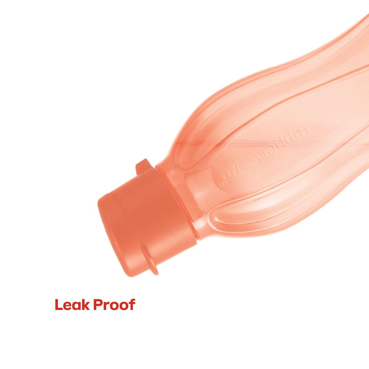 Eco+ Bottle | Small - Image 3
