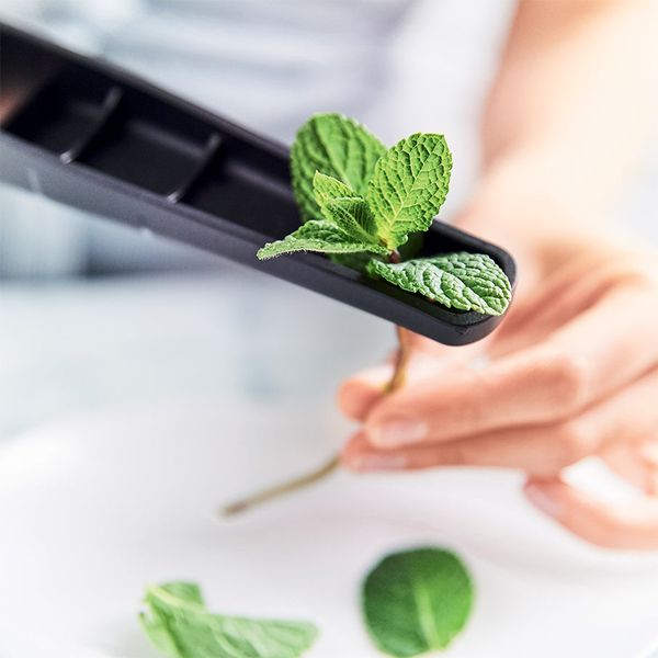 Garlic Press - Image 6