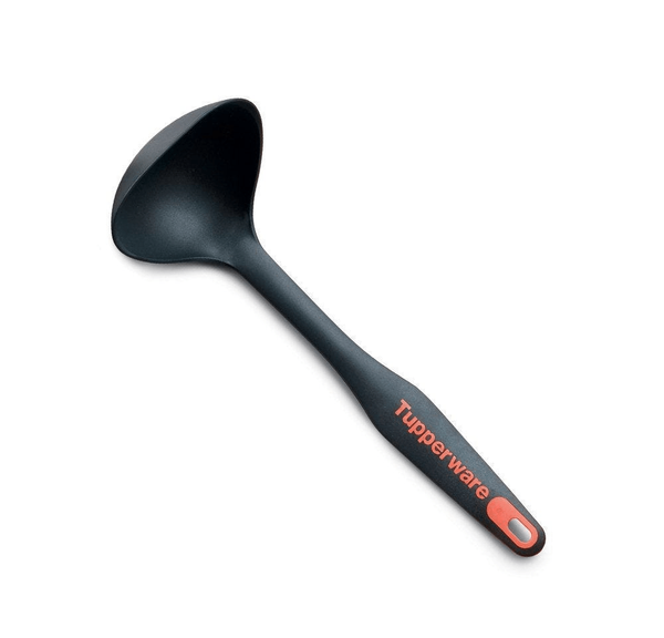 Ladle